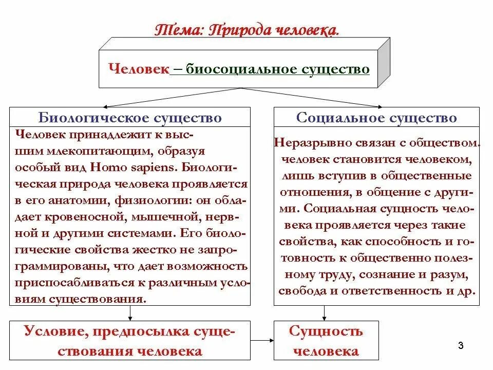 Что означает биосоциальное существо. Человек существо биологическое и социальное Обществознание. Человек как социально биологическое существо. Биологическая и социальная сущность человека Обществознание. Человек биологическое и социальное существо таблица.