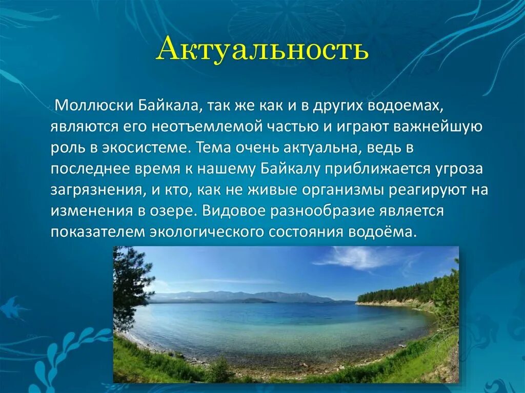 Актуальность озера Байкал. Актуальность темы Байкал. Проект озеро Байкал актуальность. Актуальность проекта Байкал. Исследовательская работа озеро