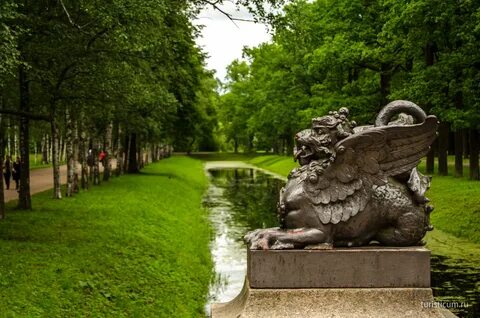 Александровском парке 4