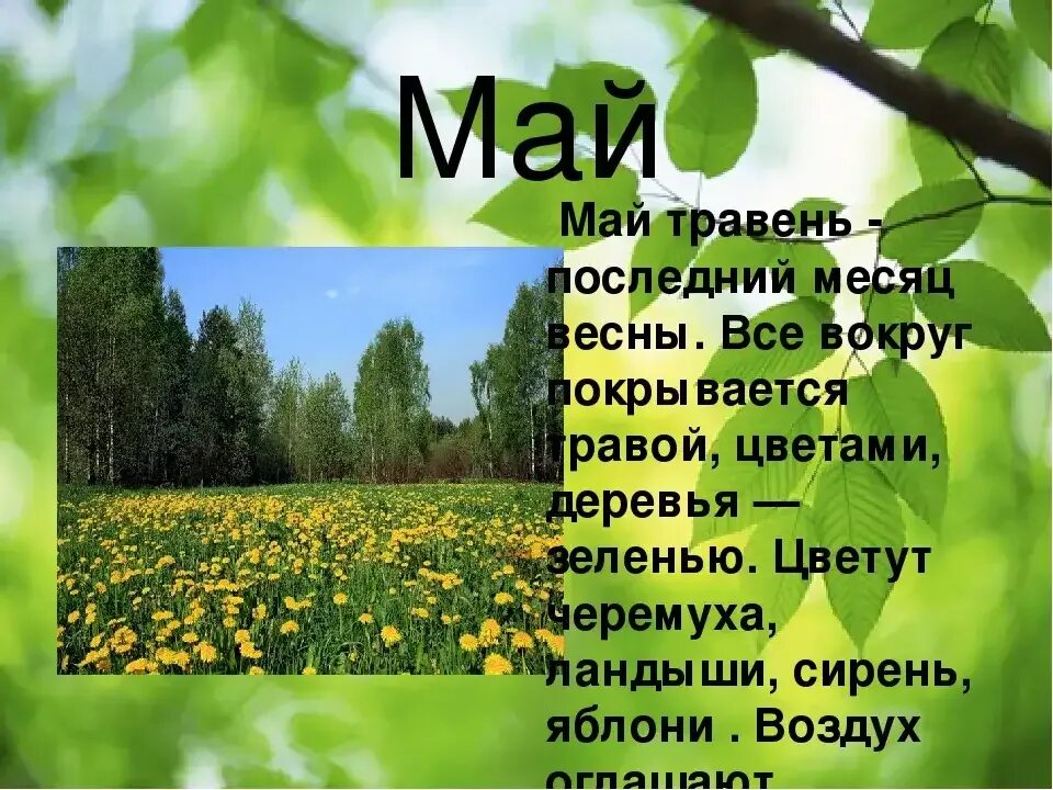 Стихи о мае. Весенние месяцы. Весенние месяцы для детей. Назовите месяцы весны для дошкольников. Второй месяц весны.