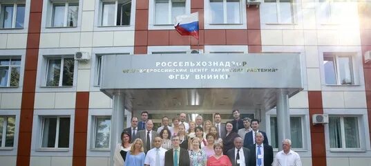 Филиал фгбу вниикр. Всероссийский центр карантина растений быково. внии карантина растений быково. директор фгбу вниикр быково. фгбу вниикр.