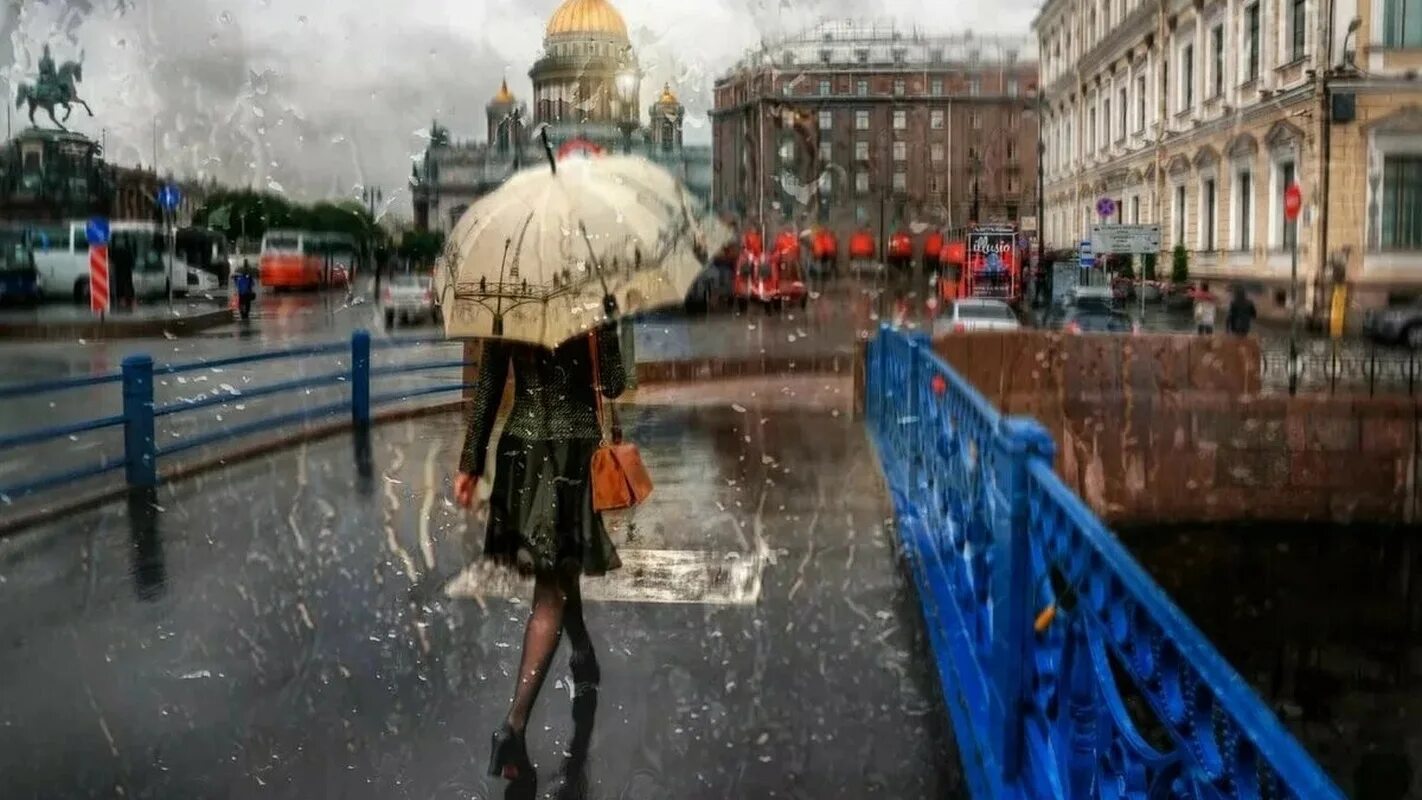 Промозглый Питер. Дождливый Питер. Санкт-Петербург дождь. Дождь в Петербурге.