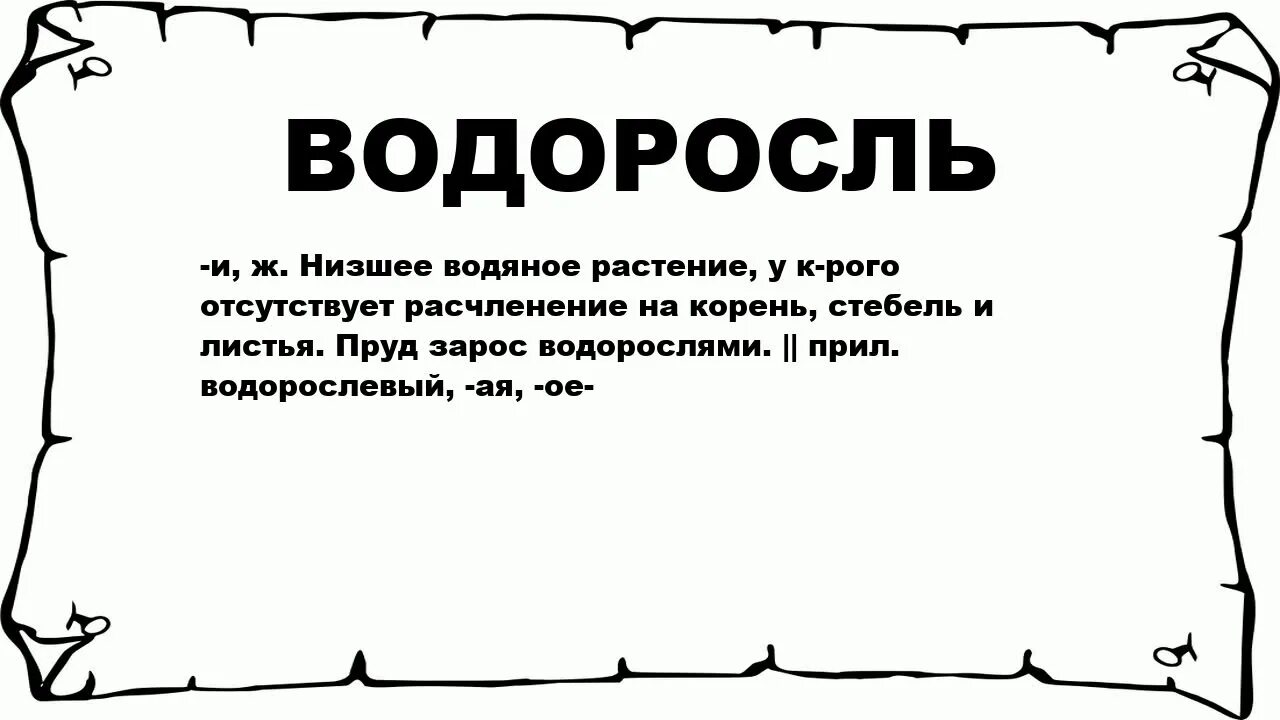 Корне слова водоросли. Водоросли корень слова. Корень слова водорослевый. Какой корень в слове водоросли. Как пишется слово водоросли.