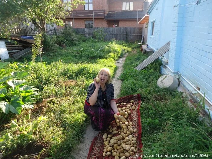 Соседка дома без. Соседка в огороде. Соседка по даче. Соседка дома. Моя соседка фото.