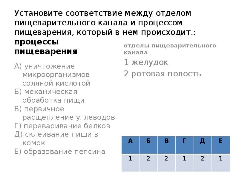 Установите соответствие между отделом пищеварительного канала. Процессы пищеварения и отделы пищеварительного канала. Установите соответствие отделы пищеварительного канала. Установите соответствия между процессом пищеварения и отделом.