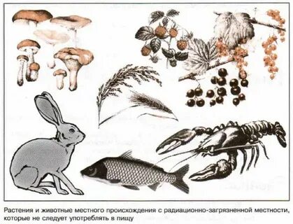 Местного происхождения
