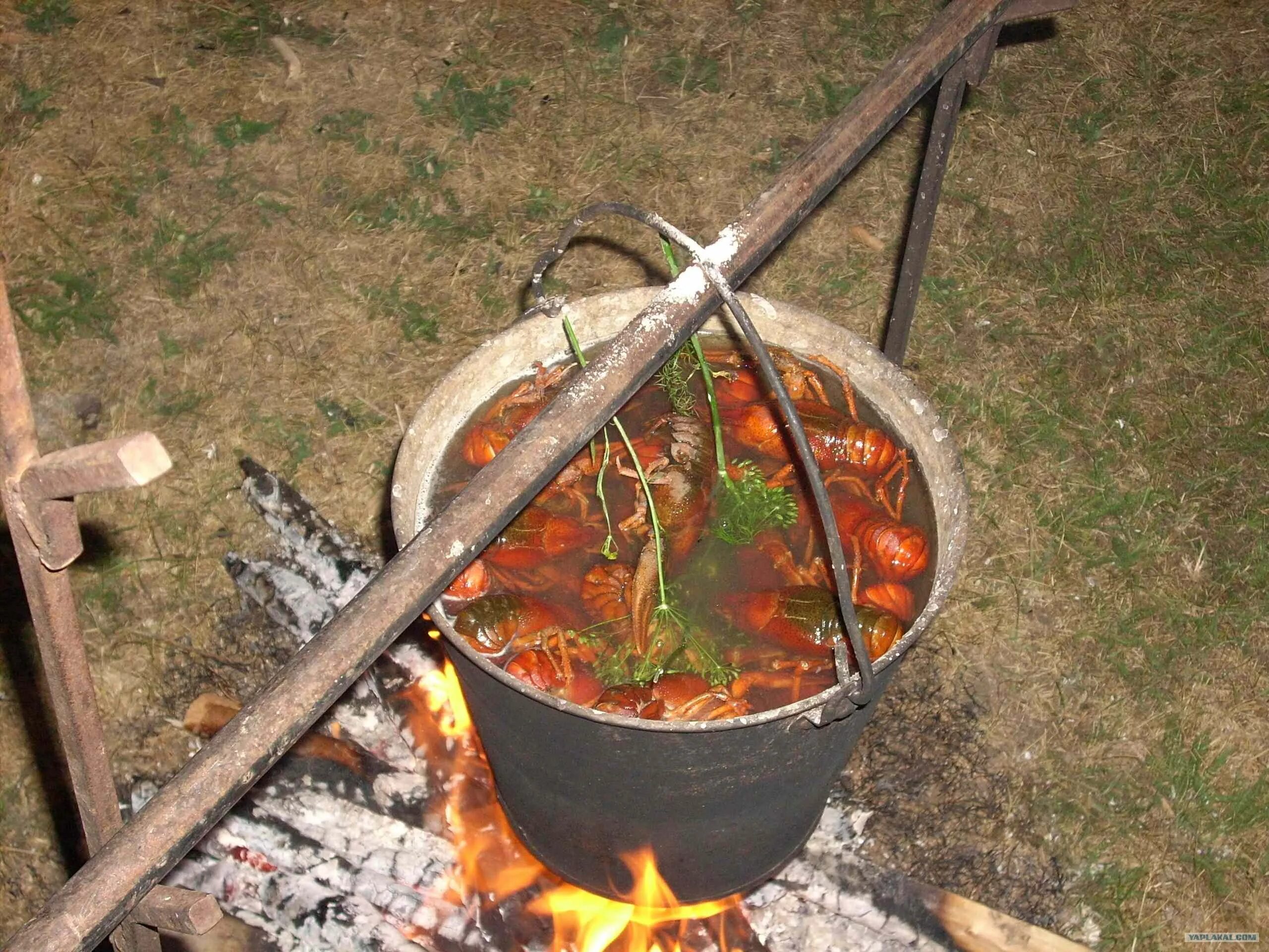 Кулеш казацкий полевой в казане на костре. Рыба на костре на природе. Варенная на костре. Суп на костре. Гуляш в казане.
