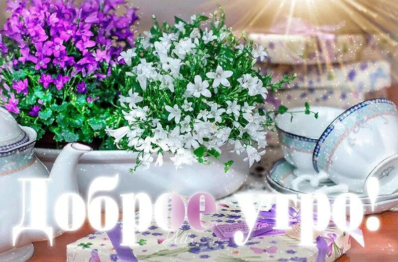 Открытки с добрым утром весенние. Открытки с добрым утром красивые необычные весенние. Доброе весеннее утро. Сиреневое утро. Доброе весеннее утро.