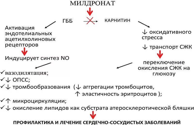 Мельдоний можно колоть. Механизм действия мельдония. Мельдоний механизм действия фармакология. Милдронат механизм действия. Механизм действия милдроната.