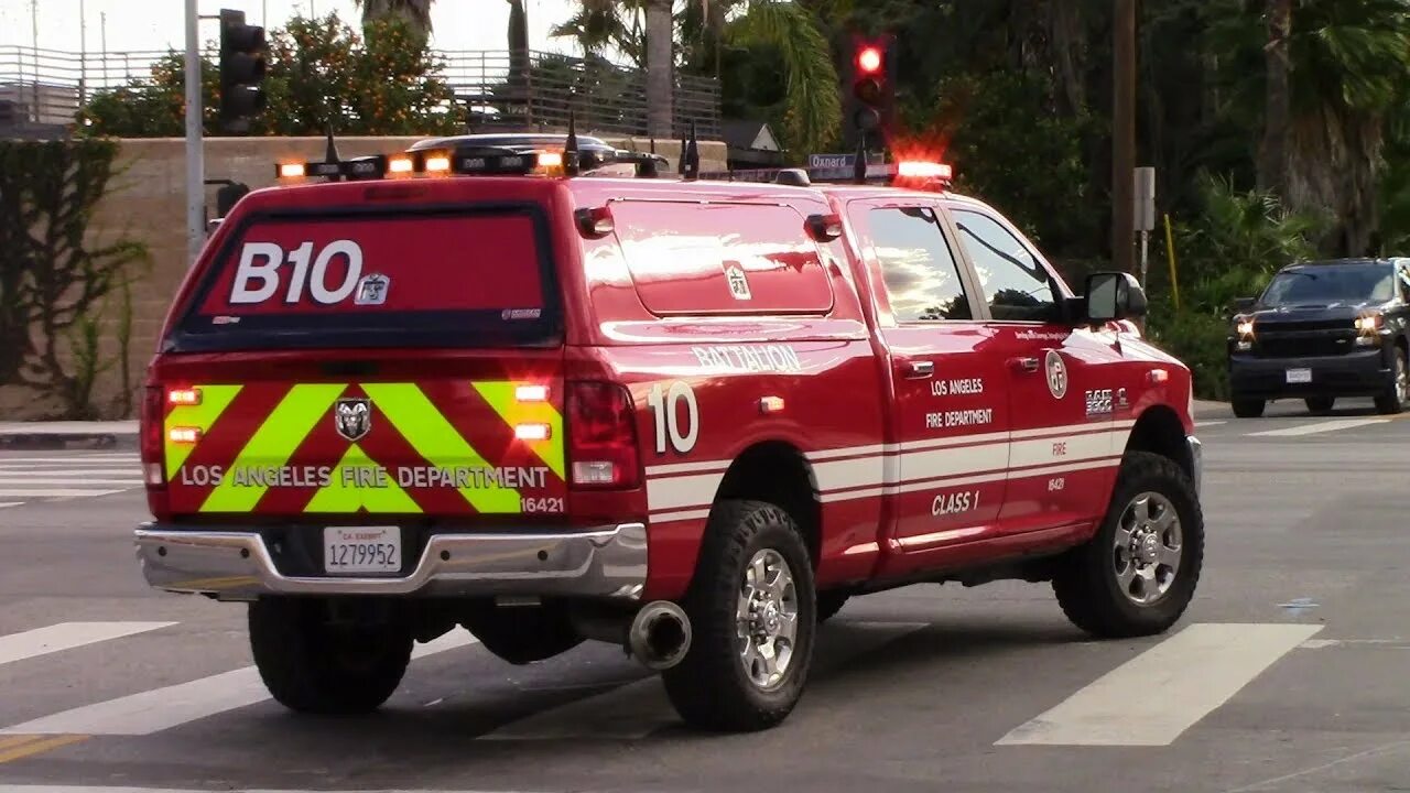 Unit car. Battalion lafd. battalion chief lafd. lafd сержант. lafd sprint unit.