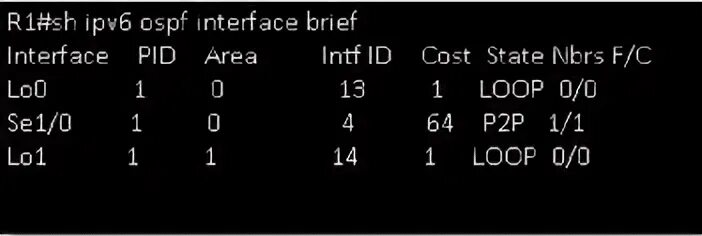 Show interfaces brief. Show interfaces brief