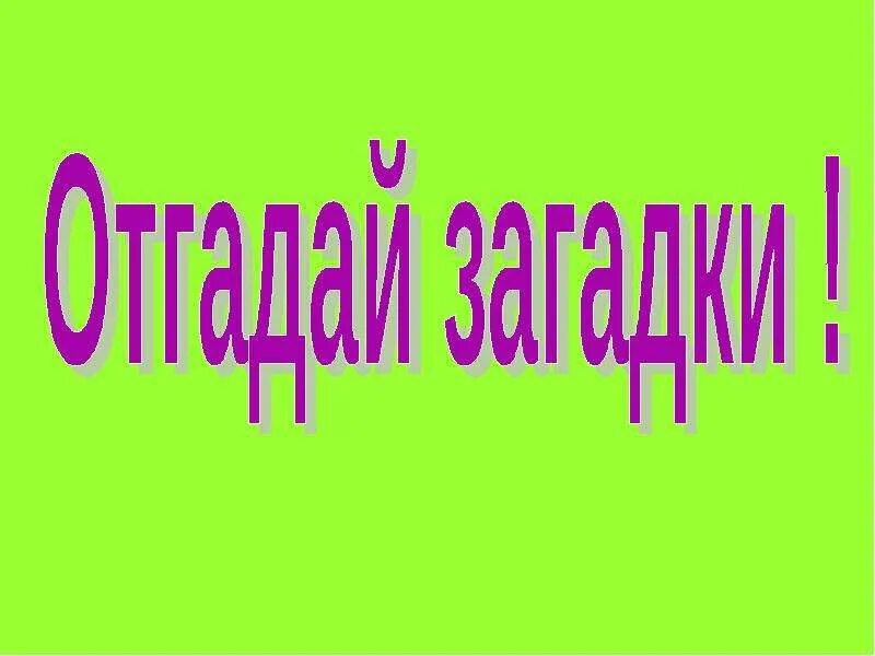 Что было завтра а будет вчера загадка. Загадки надпись красивая. надпись загадки. загадка про вчера.