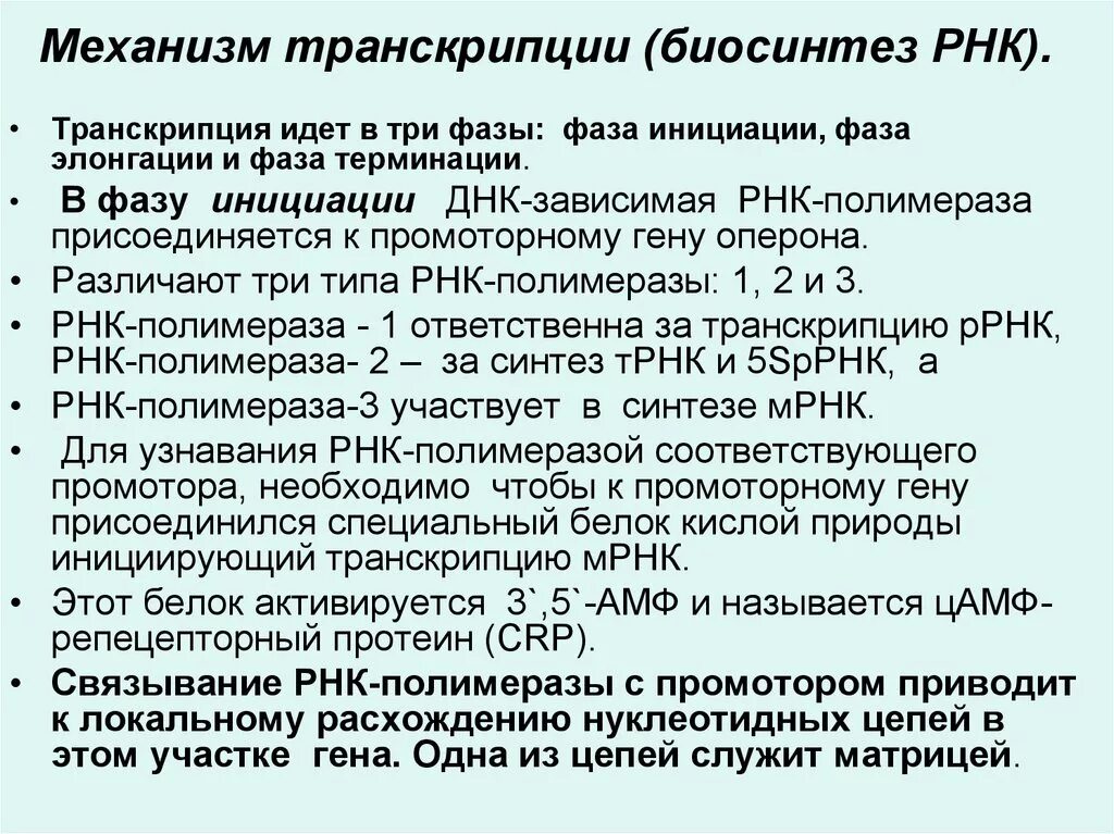 Механизм биосинтеза. Механизм процесса транскрипции. Механизм синтеза РНК. Биосинтез РНК транскрипция. Механизм транскрипции РНК.