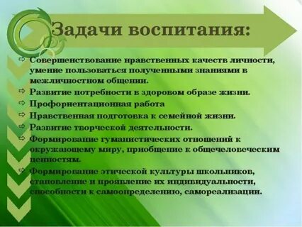Обратная связь как развивающий инструмент что значит