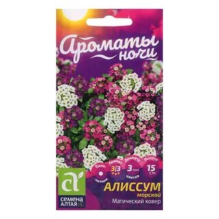 Семена алиссума