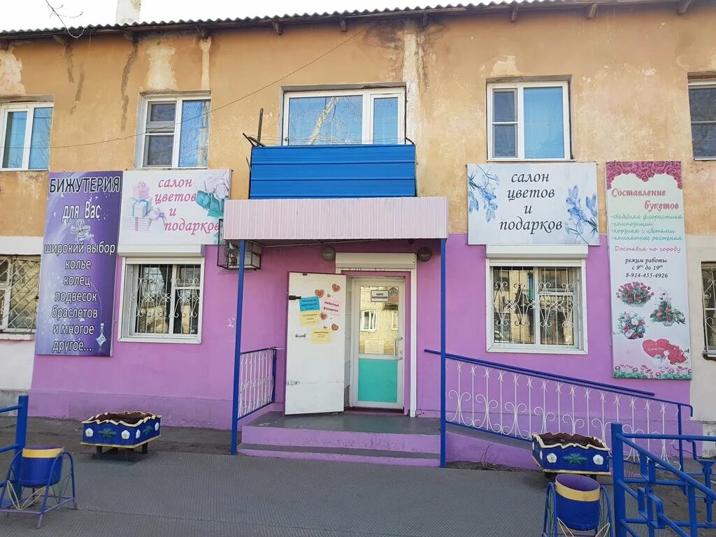 Цветущая степь забайкалья. Цветы борзя. Забайкалье багульник река. Цветы борзя. Цветы борзя.