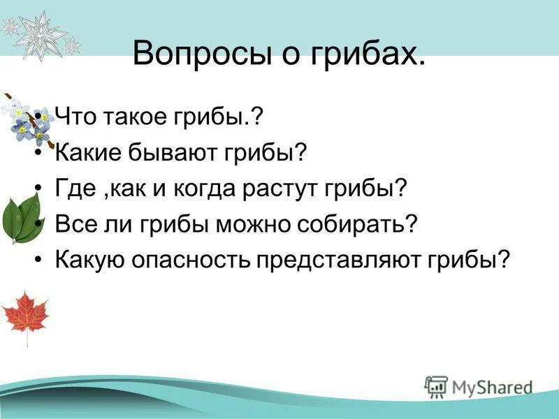 кроссворд про грибы. кроссворд по биологии 5 класс на тему грибы. вопросы по грибам. вопросы про грибы 5 класс. викторина про грибы.