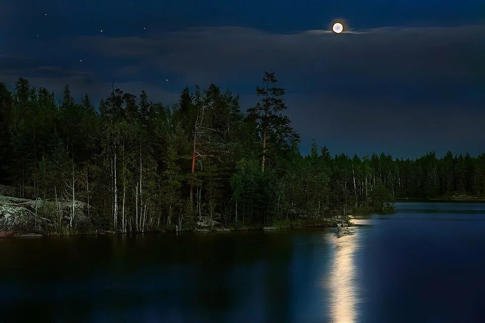 Ночной пейзаж. Река ночью. Берег озера ночью. Лунная ночь.