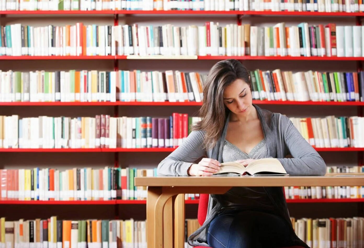 Study reader