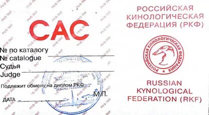 Титула песня. Титула песня