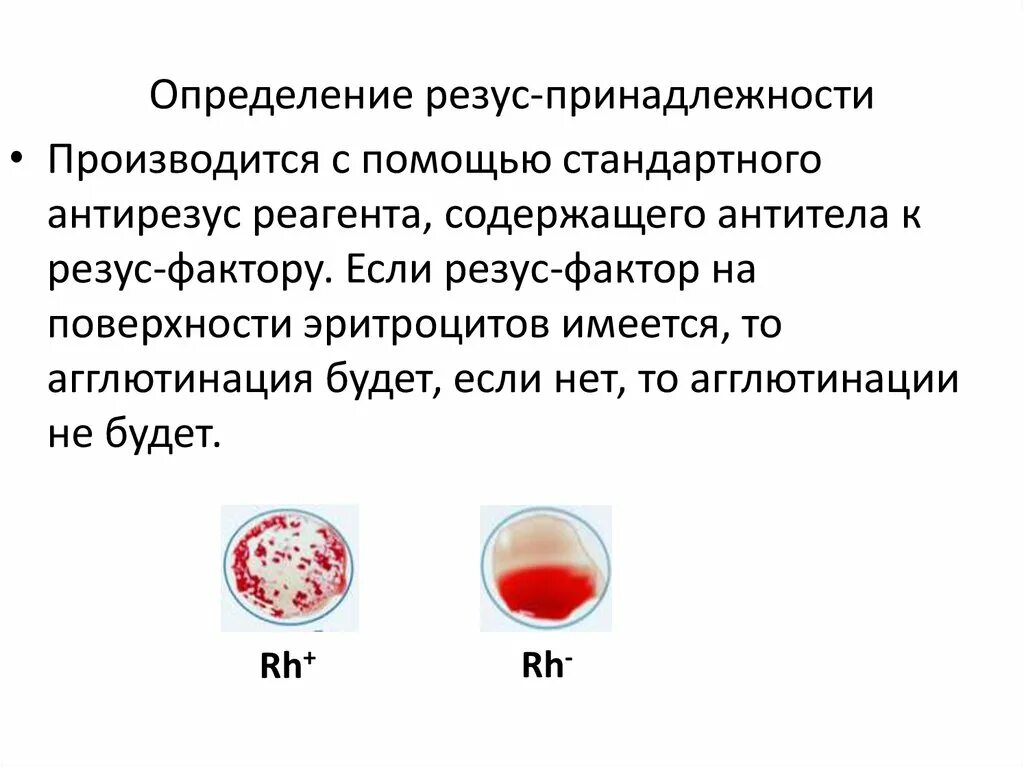 Определение d резус определение. Реакция агглютинации для определения резус фактора. Клинические методы определения групп крови и резус-фактора.. Определение гр крови цоликлонами алгоритм резус фактор. Как понять группу крови и резус фактор.