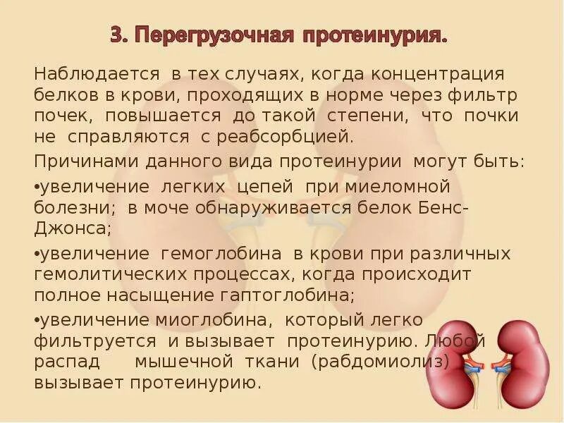 Почки научная статья. Концентрация почек. Почки не фильтруют кровь. Кровь проходит через почки.