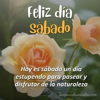 Feliz Sábado Buenos Días.