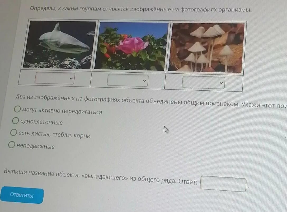 Определить что на фото. 2 Из изображенных на фотографиях объекта объединены общим признаком. Два из изображённых на фотографиях. Определи,к каким группам относятся на фотографиях организмы. 2 Из изображенных на фотографии объекта.