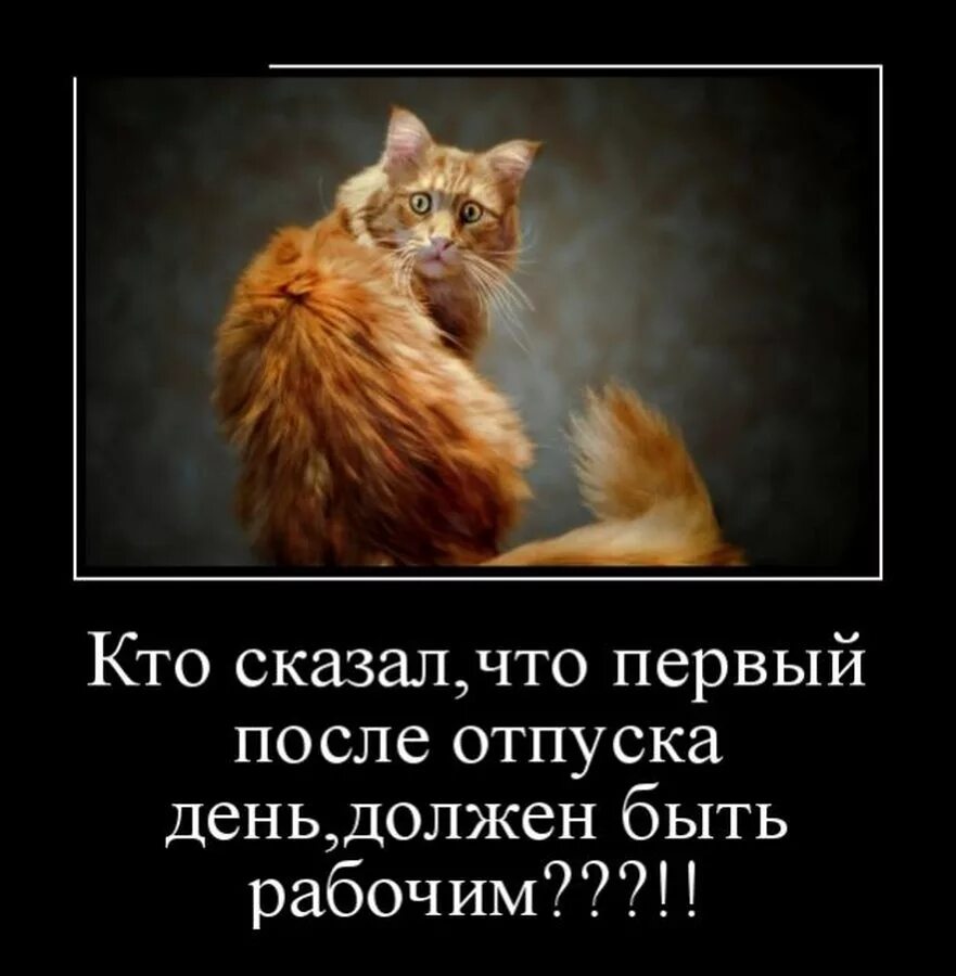 Жизнь после отпуска. Первый день после отпуска. с первым рабочим днём после отпуска. с выходом на работу после отпуска. с первым рабочимднёмпослеотпуска.