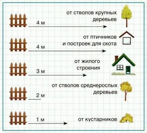 Нормативы посадки деревьев. Посадка деревьев на участке нормы от забора. нормы высадки деревьев и кустарников от забора соседа. нормы посадки деревьев снип. нормы посадки деревьев от забора соседа.
