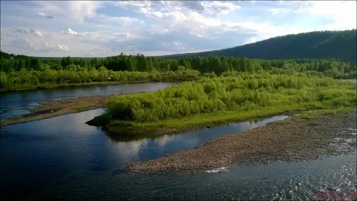 Чульман якутия девочка собаки. Чульман (посёлок городского типа). чульман посёлок в якутии. река чульман нерюнгри.
