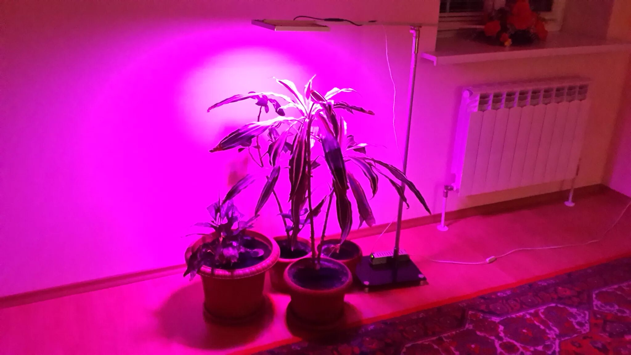 Подсветка для цветов. Лампа для рассады. Светодиодный светильник для растений. Фитолампа для рассады.