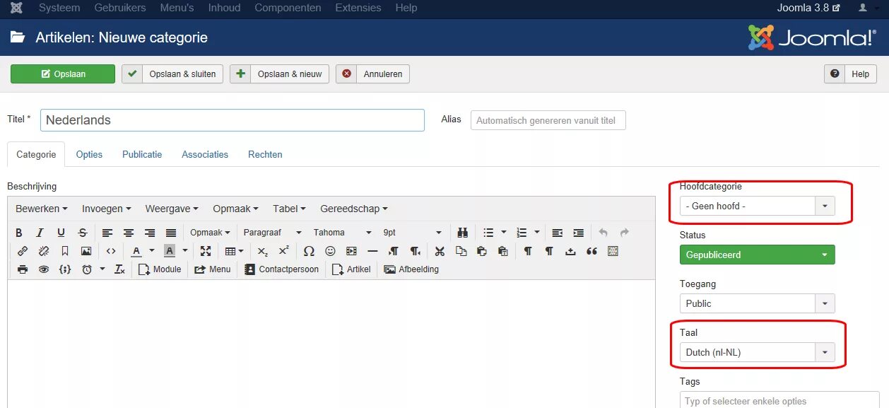 Joomla модуль в модуле. Joomla. как выглядят сайты на джумле. как выглядит joomla. новогодний модуль для джумла.