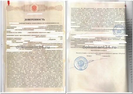 Нотариально заверить решение о назначении директора