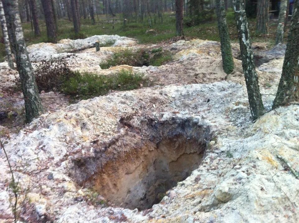Яма в лесу. Яма в лесу. Большая яма в лесу. Большая яма в лесу. Яма в лесу.
