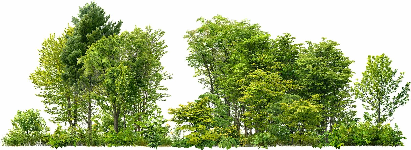 Panorama images small png vtex c