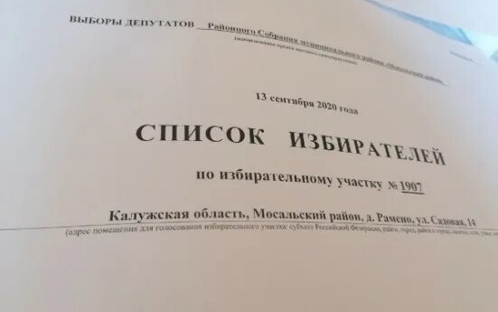 Включен в список избирателей на избирательном участке. Список избирателей. Книга списка избирателей. Работа со списком избирателей. Образец списка избирателей на выборах.