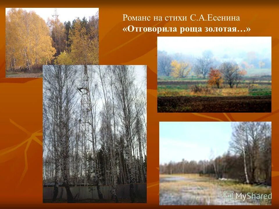 Отшумела роща золотая есенин. Стих есенина отговорила роща золотая текст. Отговорила роща золотая караоке. Отговорила роща золотая пономаренко. Есенин стихи отговорила роща.