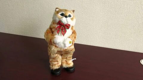 Поющий кот видео