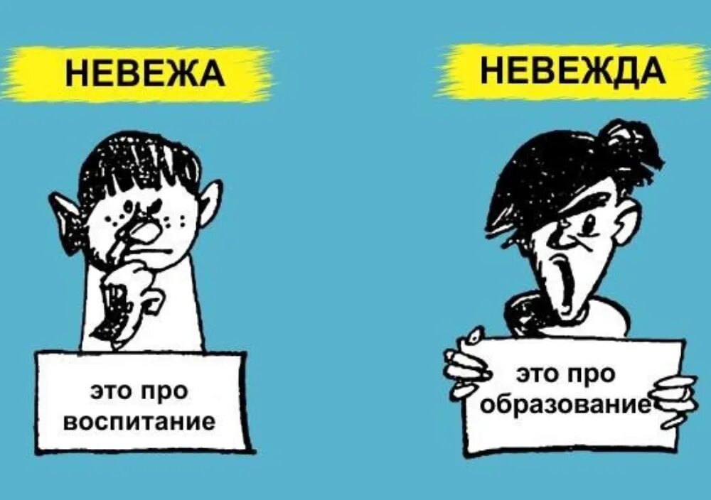 Невежа что это. Невежа и невежда. Невежа невежда паронимы. Паронимы картинки. Невеа иневеждаразница.