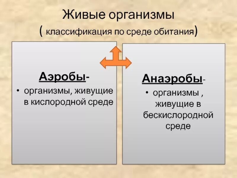 Аэробы и анаэробы. Типы дыхания бактерий схема. Аэробные организмы примеры. Аэробы и анаэробы. Бактерии аэробы и анаэробы.