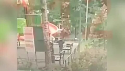5 летнего мальчика убило деревом
