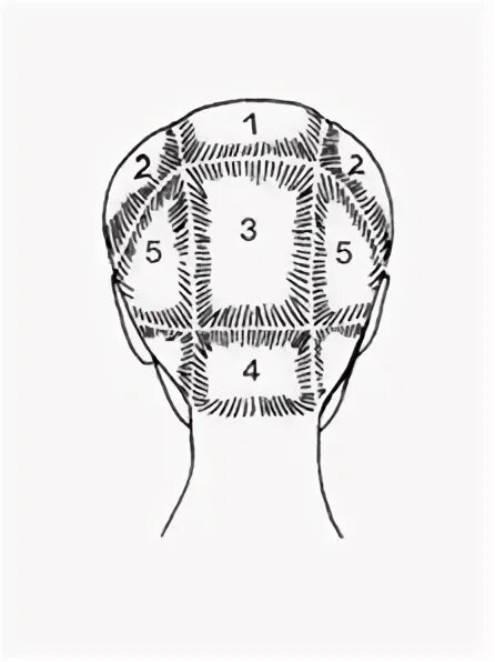 Зона затылка. Деление волосяного Покрова головы на зоны. Деление волос на зоны и проборы при стрижке. Схема теменная зона головы. Зоны и проборы головы для парикмахеров.