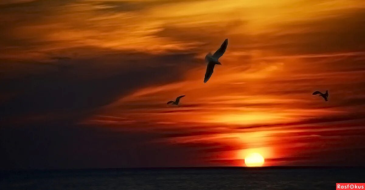 Танго утомленное солнце картинки. Над рекой. Утомленное солнце нежно с морем прощалось. Танго утомленное солнце. Утомленное солнце тихо тихо.