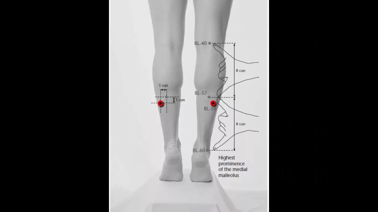 Bl58 точка акупунктуры. Точка v 58. V 59 точка акупунктуры. Версия 3.5 точка
