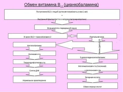 Обмен 12
