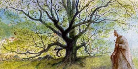 Des arbres