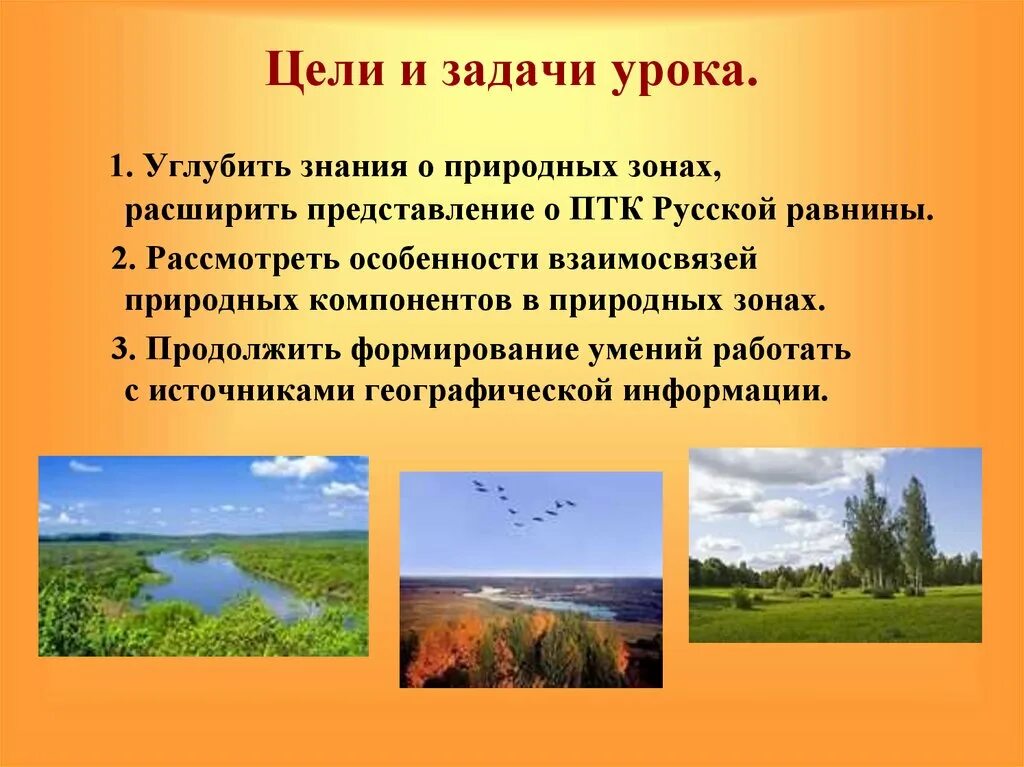 Русская равнина природные особенности. Природно-территориальный комплексы русской равнины. Природные комплексы равнины. Природные комплексы Восточно европейской равнины. Русская равнина природные комплексы.