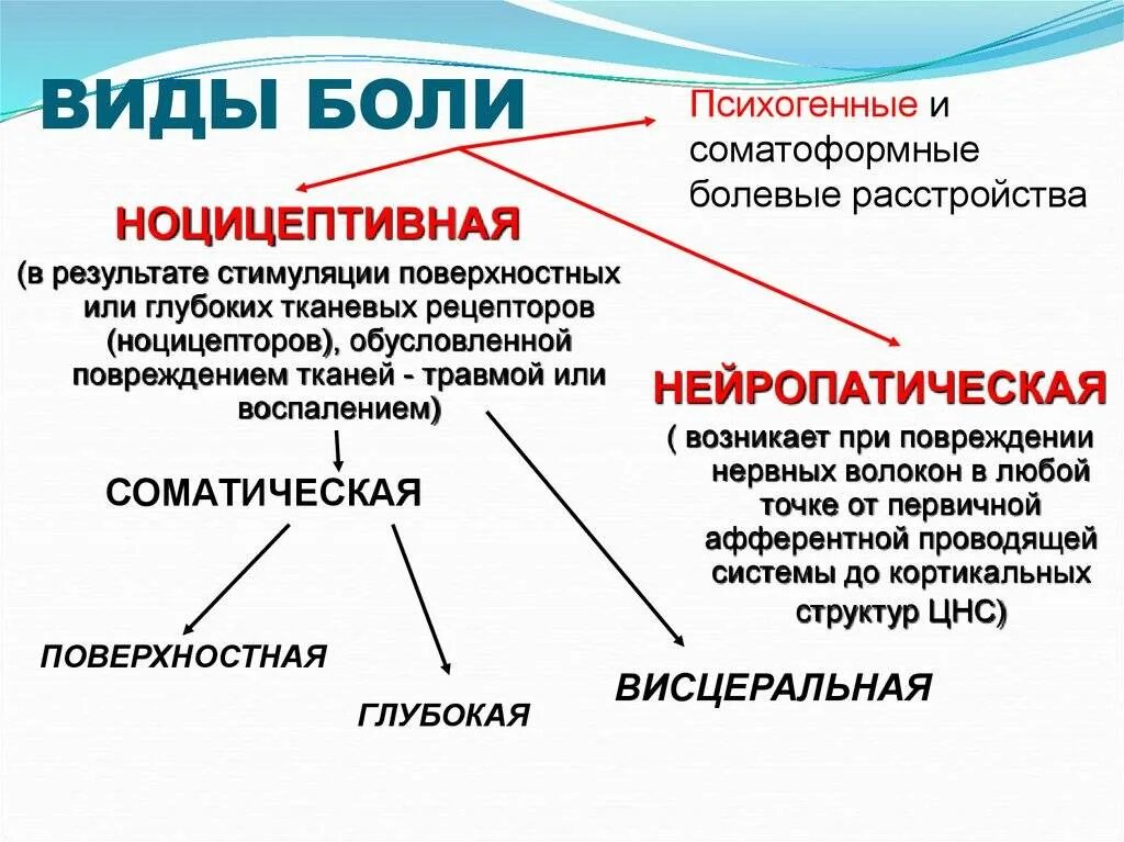 Характер неврологической боли. Виды боли. Классификация типов боли. Охарактеризовать различные виды боли. Типы ноцицептивной боли.