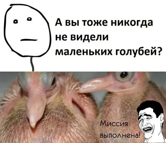 Людское мем с голубем и руками 2025 Very Good, Россия, Москва